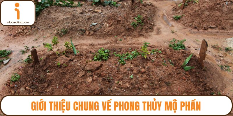 Giới thiệu chung về phong thủy mộ phần