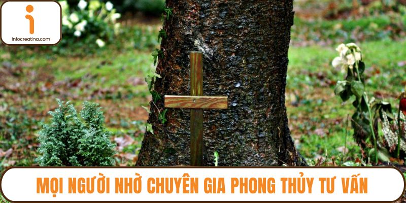 Mọi người nhờ chuyên gia phong thủy tư vấn