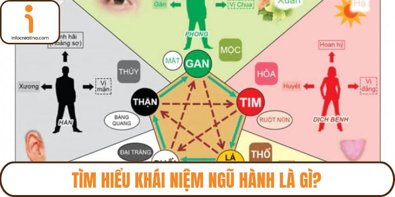 Tìm hiểu khái niệm ngũ hành là gì?