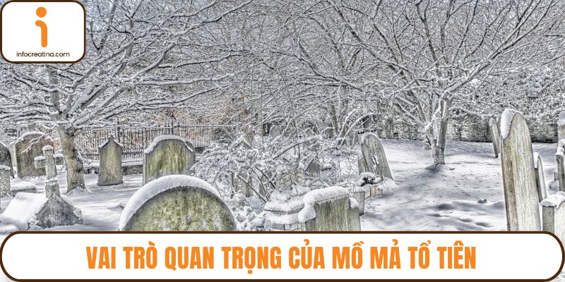 Vai trò quan trọng của mồ mả tổ tiên